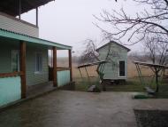 Новохортиця з panoramio.com