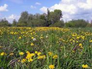 Голосків з panoramio.com