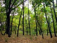 Красляни з panoramio.com