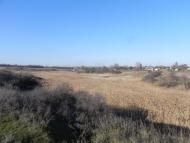 Гришки з panoramio.com