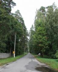 Ворзель з panoramio.com