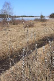 Тетерівка з panoramio.com