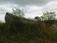 Вариводки - Останні фото