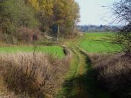 Корчів з panoramio.com