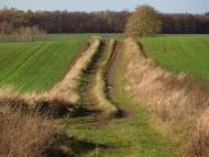 Корчів з panoramio.com