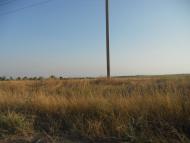 Придорожнє з panoramio.com