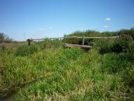 Дятилівка з panoramio.com