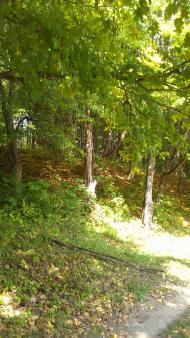 Рибальське з panoramio.com