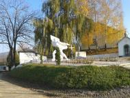 Верхні Станівці з panoramio.com