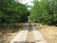 Нова Долина з panoramio.com