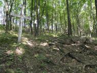 Оріхівщина з panoramio.com