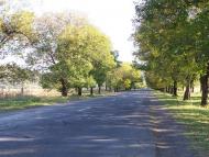 Іза з panoramio.com