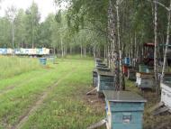 Гмирянка з panoramio.com