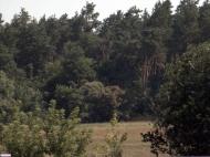 Володарка з panoramio.com