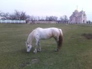 Степанівка з panoramio.com