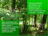 Мокра Калигірка - Останні фото