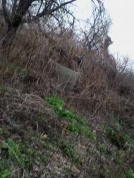 Закинуті місця хутора Горбанівка