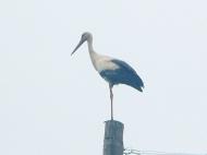 Життя селянське