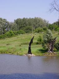 Коломійцева Долина - Останні фото