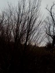 Закинуті місця хутора Горбанівка