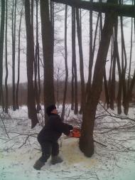 Загрунівка з panoramio.com