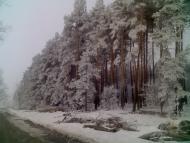 Загрунівка з panoramio.com