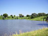 Коломійцева Долина - Останні фото