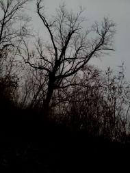 Закинуті місця хутора Горбанівка