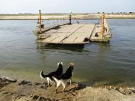 Горинь восени