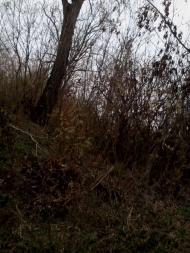 Закинуті місця хутора Горбанівка