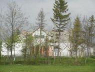 культурний розвиток