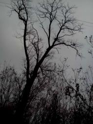 Закинуті місця хутора Горбанівка