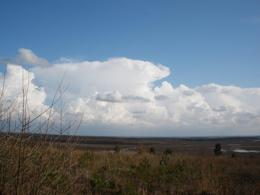 Кам'янка з panoramio.com - Kamyanka