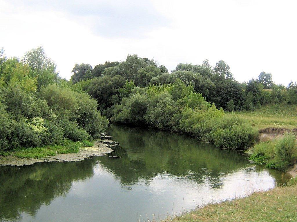 Шубків з panoramio.com - Шубків