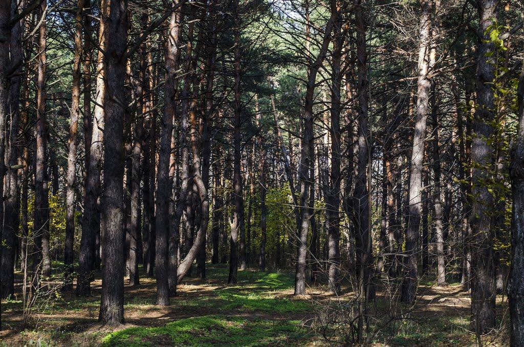 Інгулець з panoramio.com - Ингулец