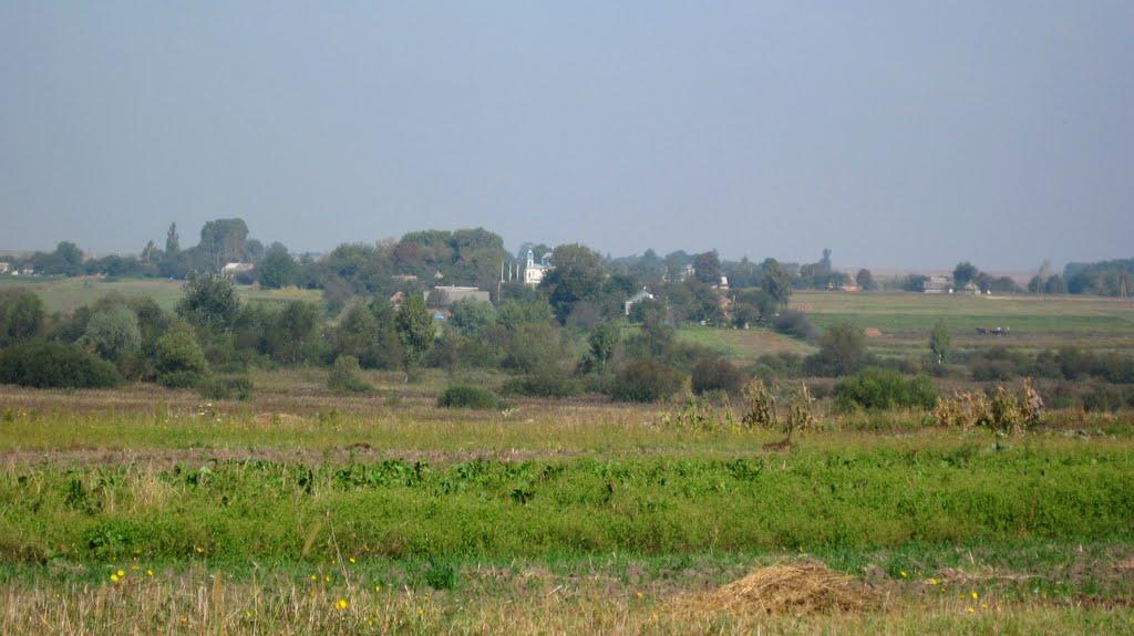 Горохів з panoramio.com - Горохів
