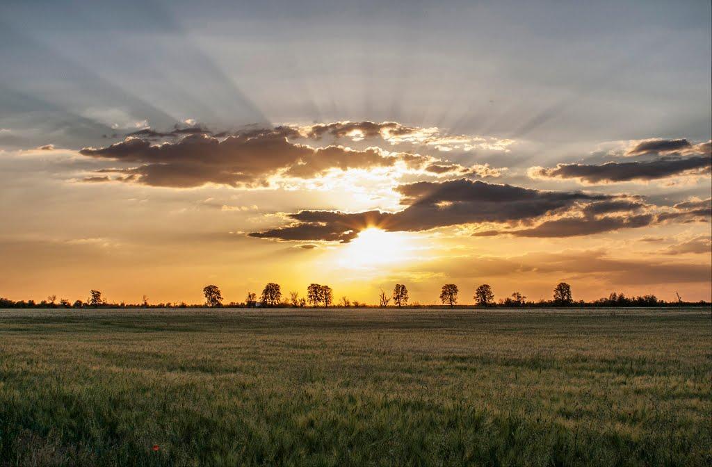 Золоте Поле з panoramio.com - Золоте Поле