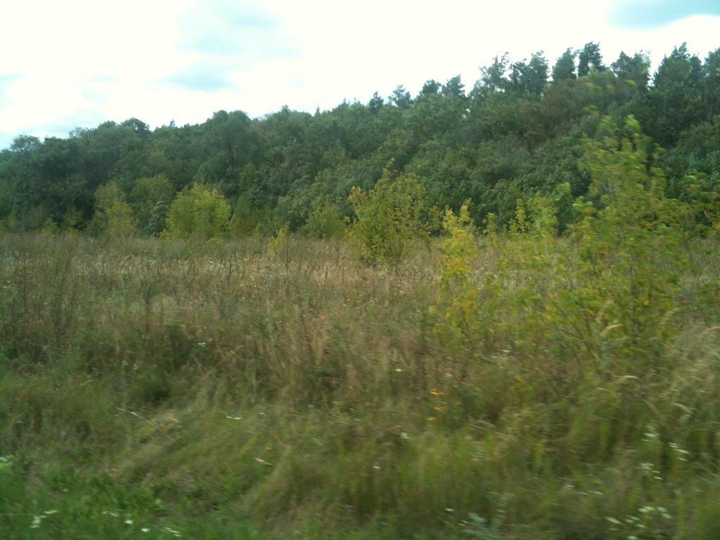 Любитове з panoramio.com - Lyubytove
