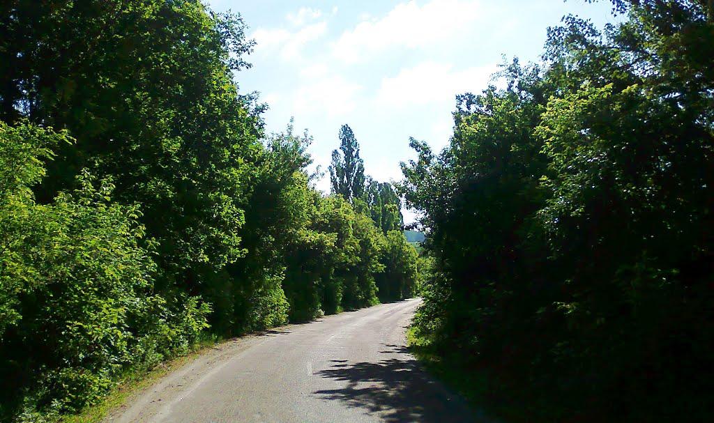 Терехове з panoramio.com - Терехове