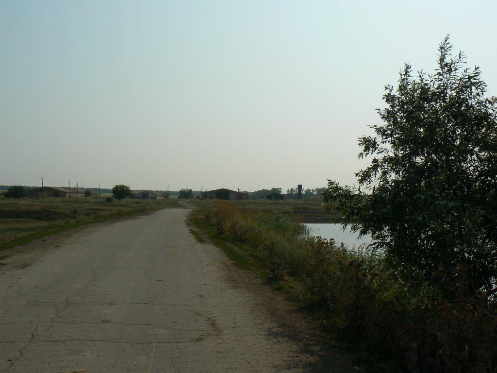 Сміле з panoramio.com - Сміле