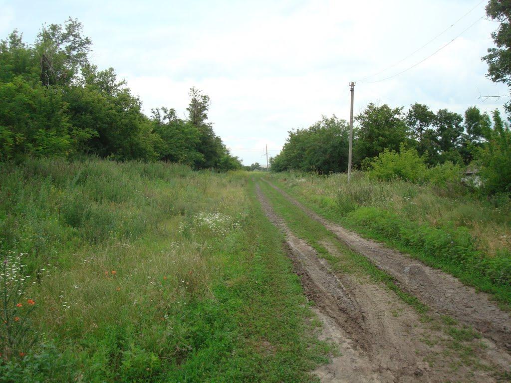 Побузьке з panoramio.com - Побугское