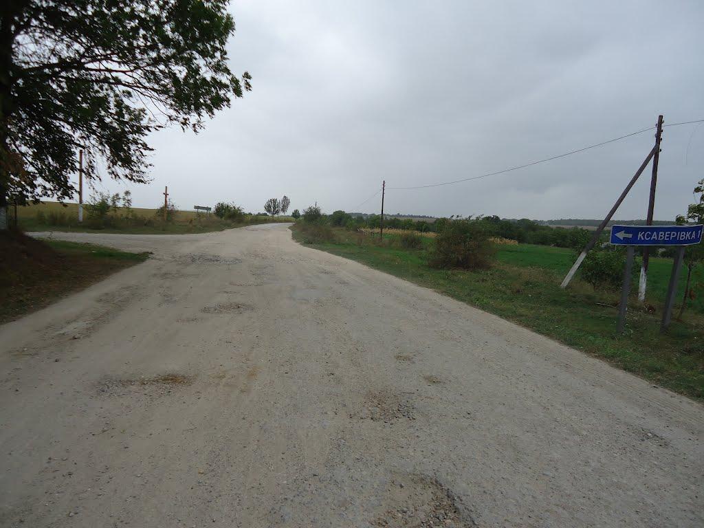 Гута-Яцьковецька з panoramio.com - Гута-Яцьковецька