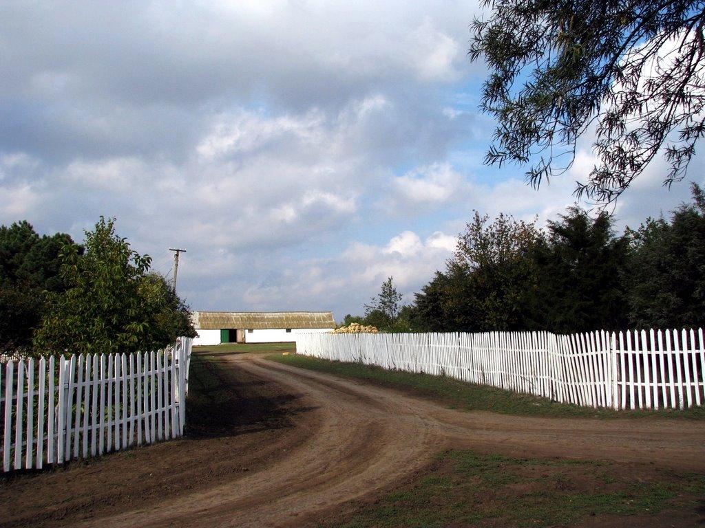 Великий Дальник з panoramio.com - Великий Дальник