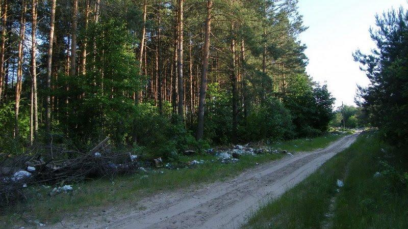 Любеч з panoramio.com - Lyubech