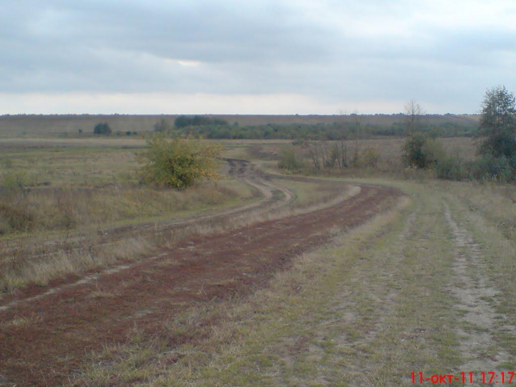 Новоселиця з panoramio.com - Novoselitsya