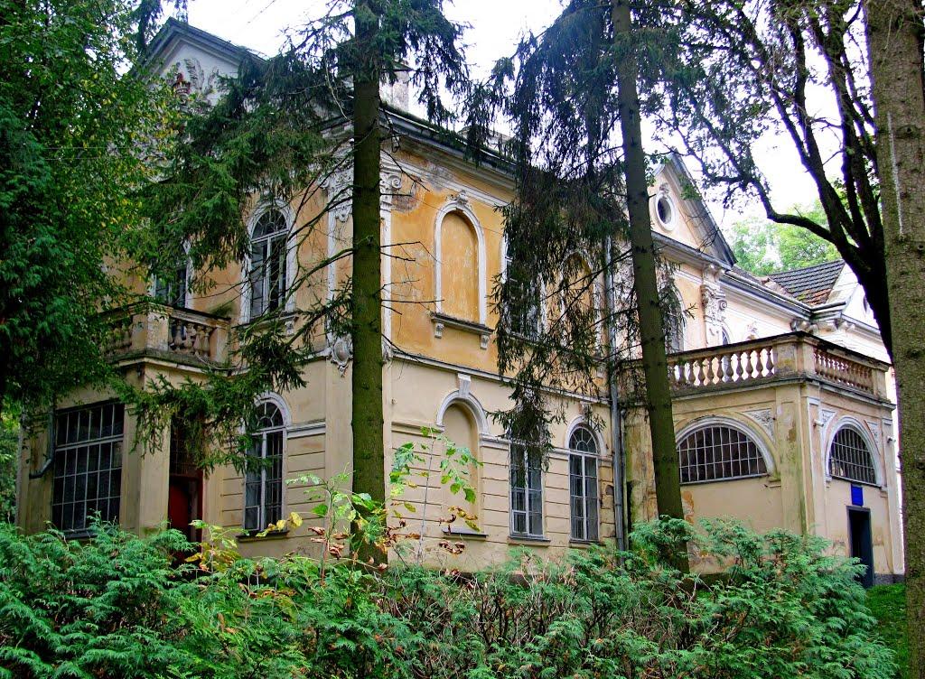 Вишня з panoramio.com - Вишня