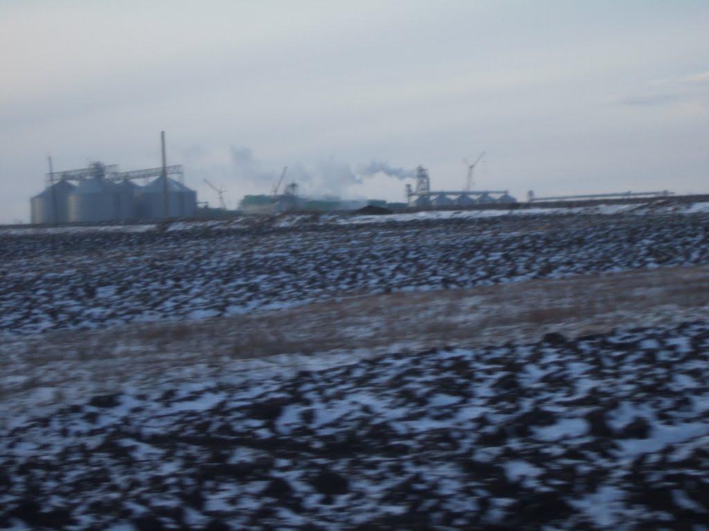 Бандурка з panoramio.com - Бандурка