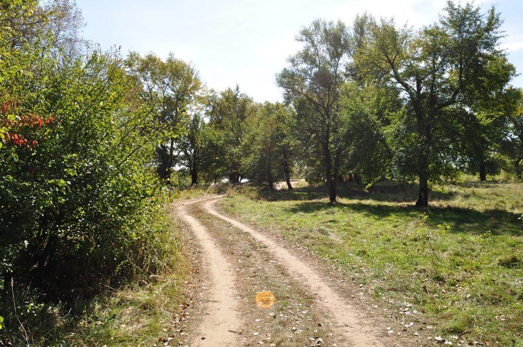 Миси з panoramio.com - Миси