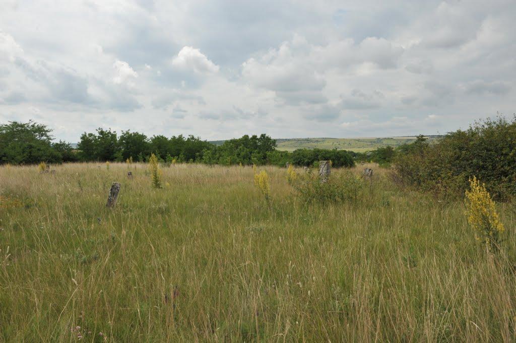 Бецилове з panoramio.com - Betsylove