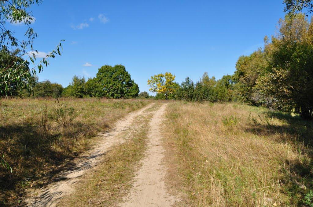 Миси з panoramio.com - Миси